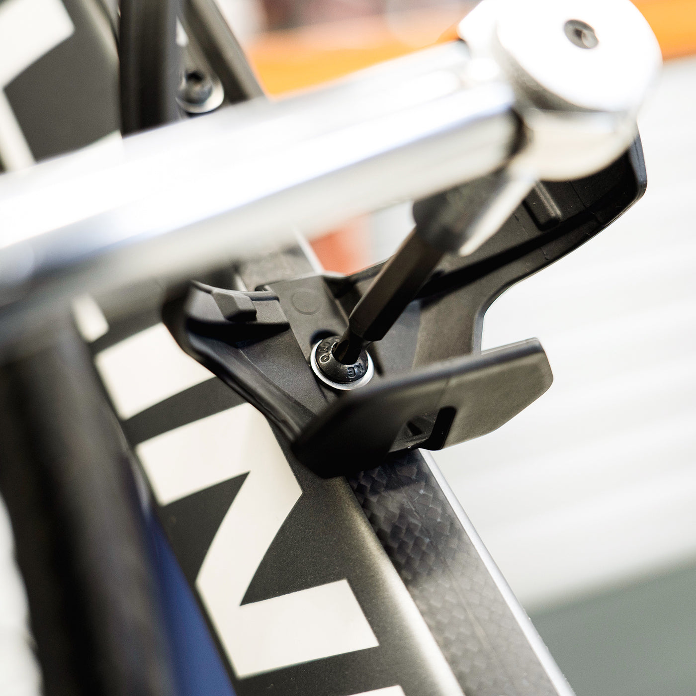 Cipollini