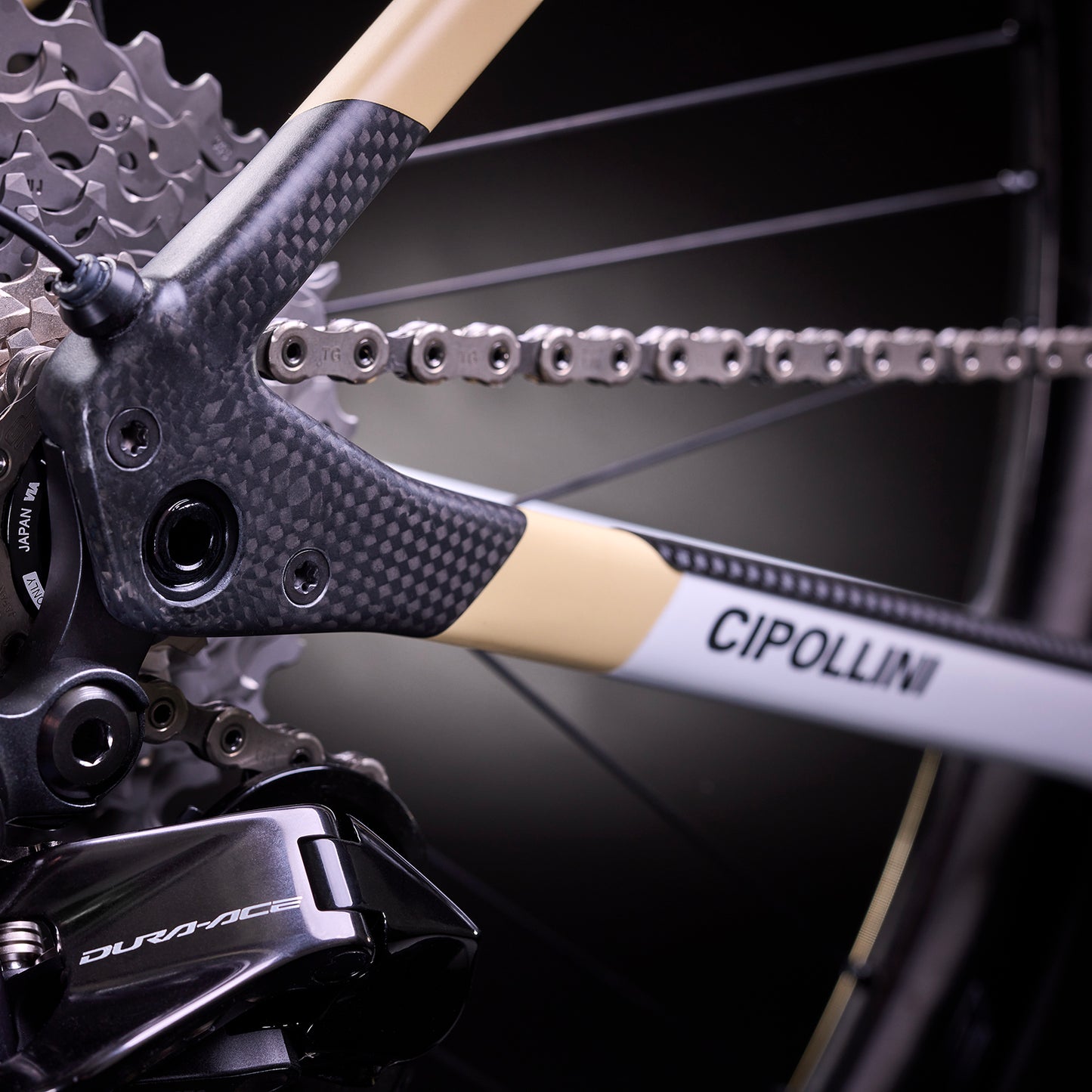 
                  
                    DOLOMIA - WHITE-SAND-CARBON SHINY/MATT 25
                  
                