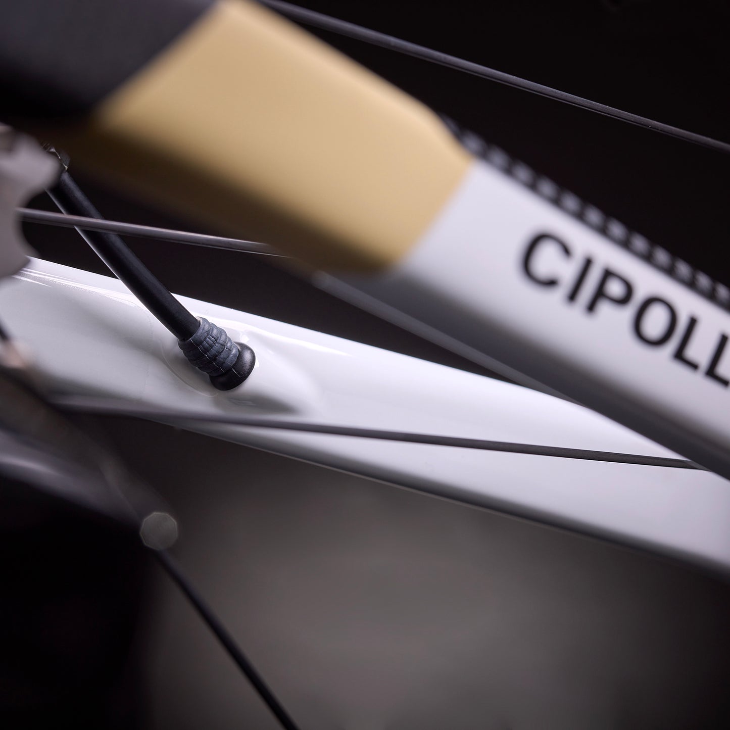 
                  
                    DOLOMIA - WHITE-SAND-CARBON SHINY/MATT 25
                  
                