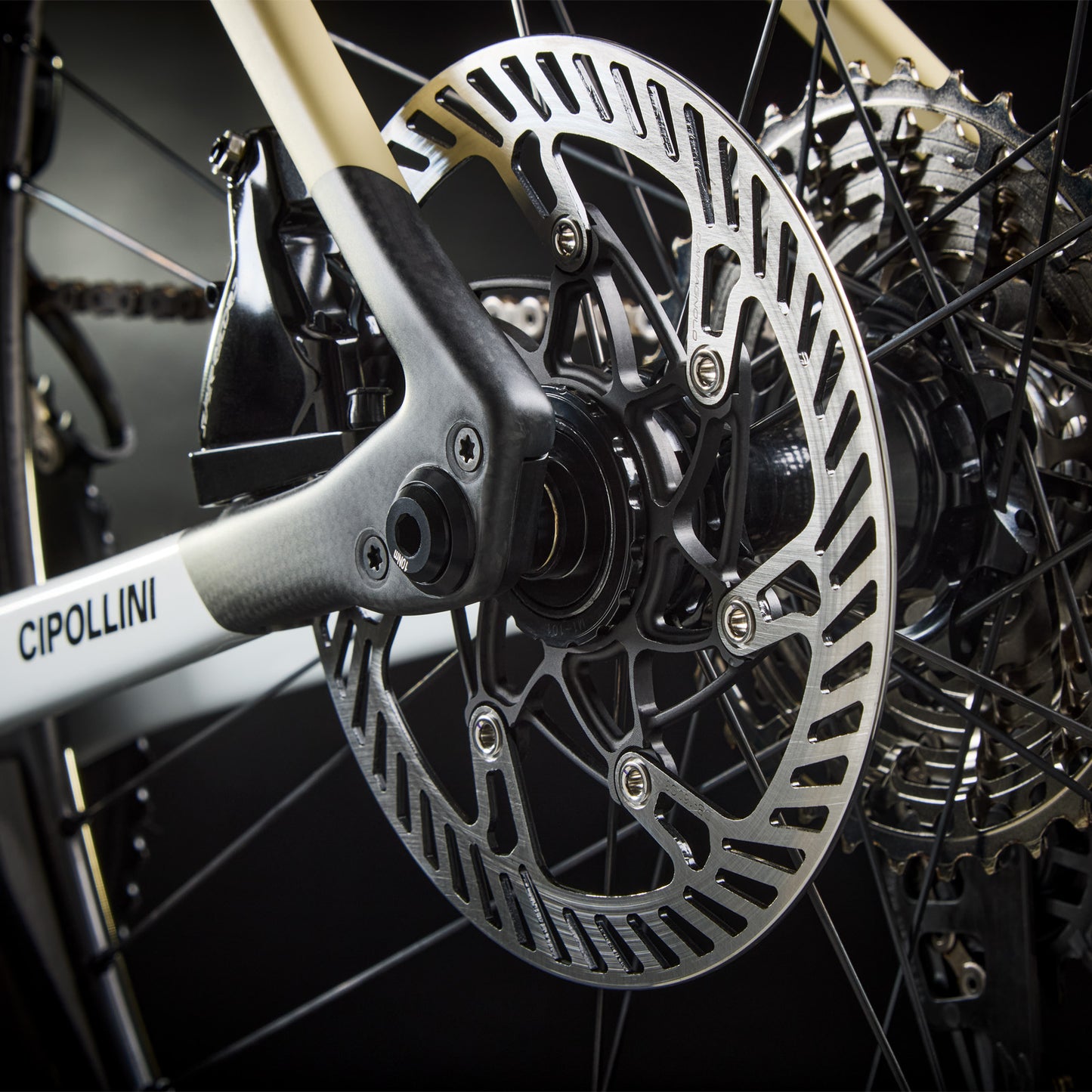 
                  
                    DOLOMIA - WHITE-SAND-CARBON SHINY/MATT 25
                  
                