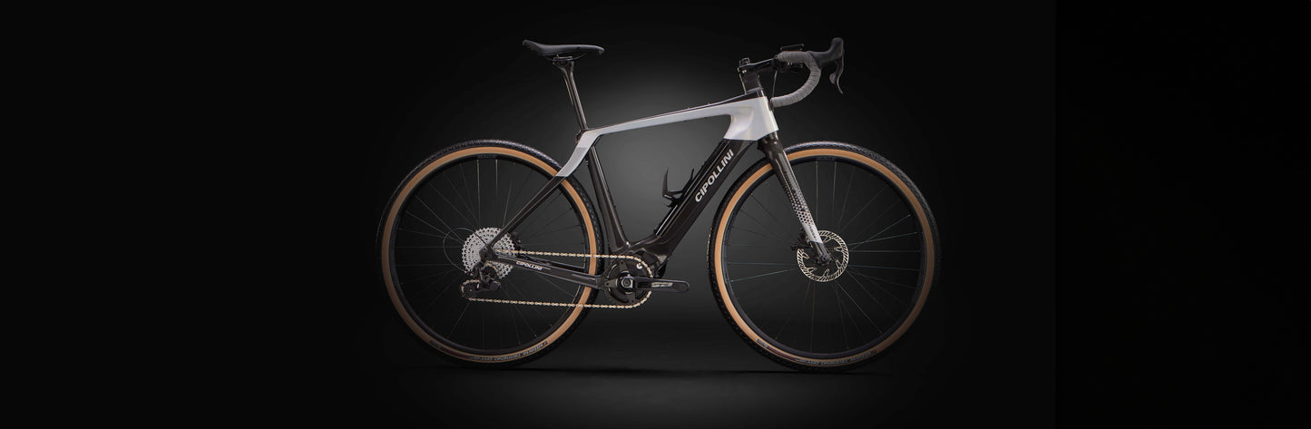 
                  
                    FYBRA GX - CARBON - WHITE PEARL - SILVER SHINY 23
                  
                