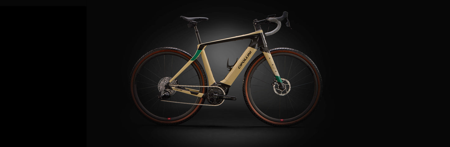 
                  
                    FYBRA GX - SAND - GREEN - ANTHRACITE SHINY 23
                  
                