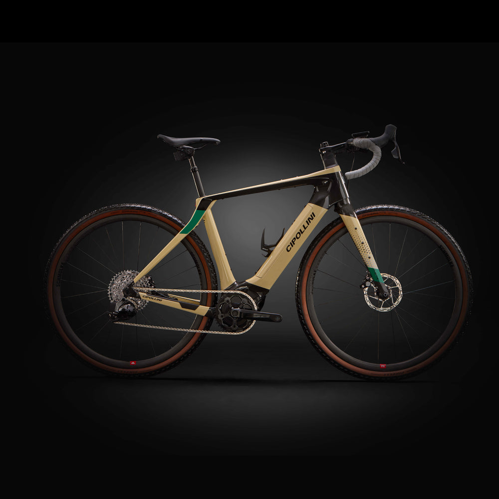 
                  
                    FYBRA GX - SAND - GREEN - ANTHRACITE SHINY 23
                  
                