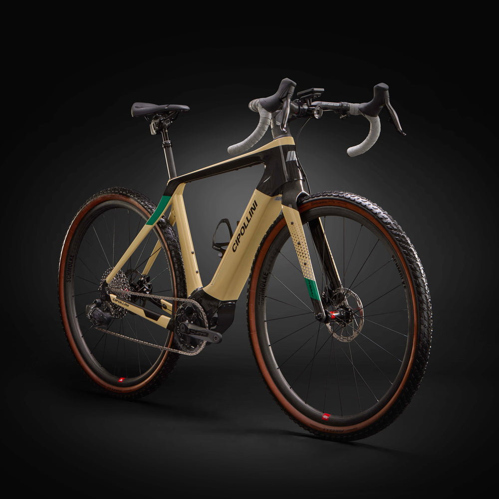 
                  
                    FYBRA GX - SAND - GREEN - ANTHRACITE SHINY 23
                  
                