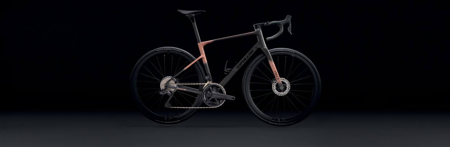 ITACA - CARBON-GOLD PINK SHINY/MATT 25
