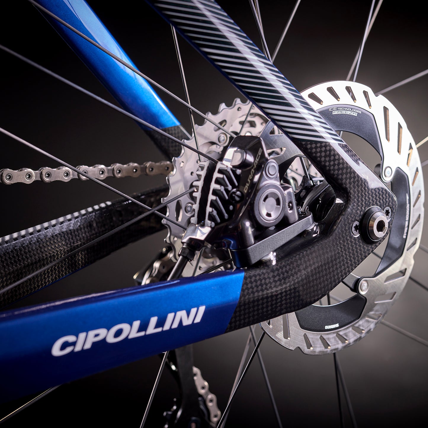 
                  
                    RB1K AD.ONE - COBALT BLUE - CARBON - WHITE SHINY 22
                  
                