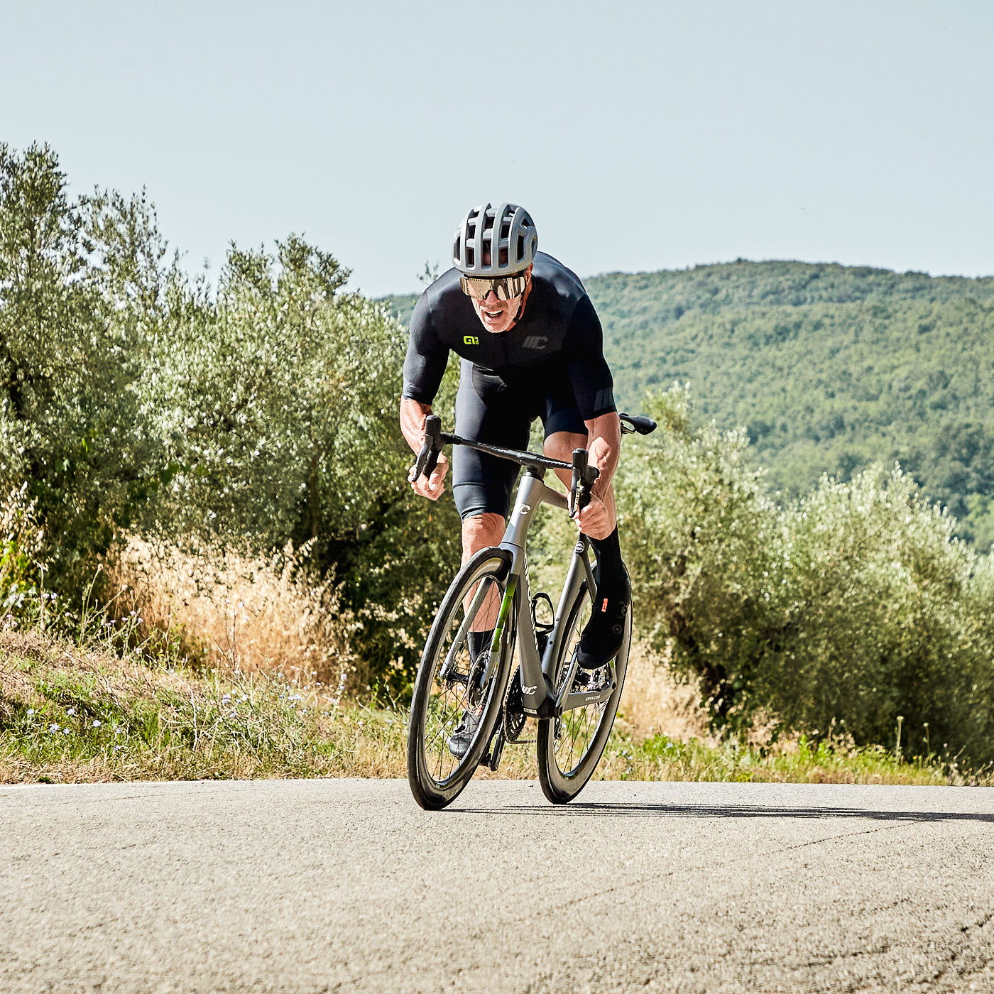 Cipollini