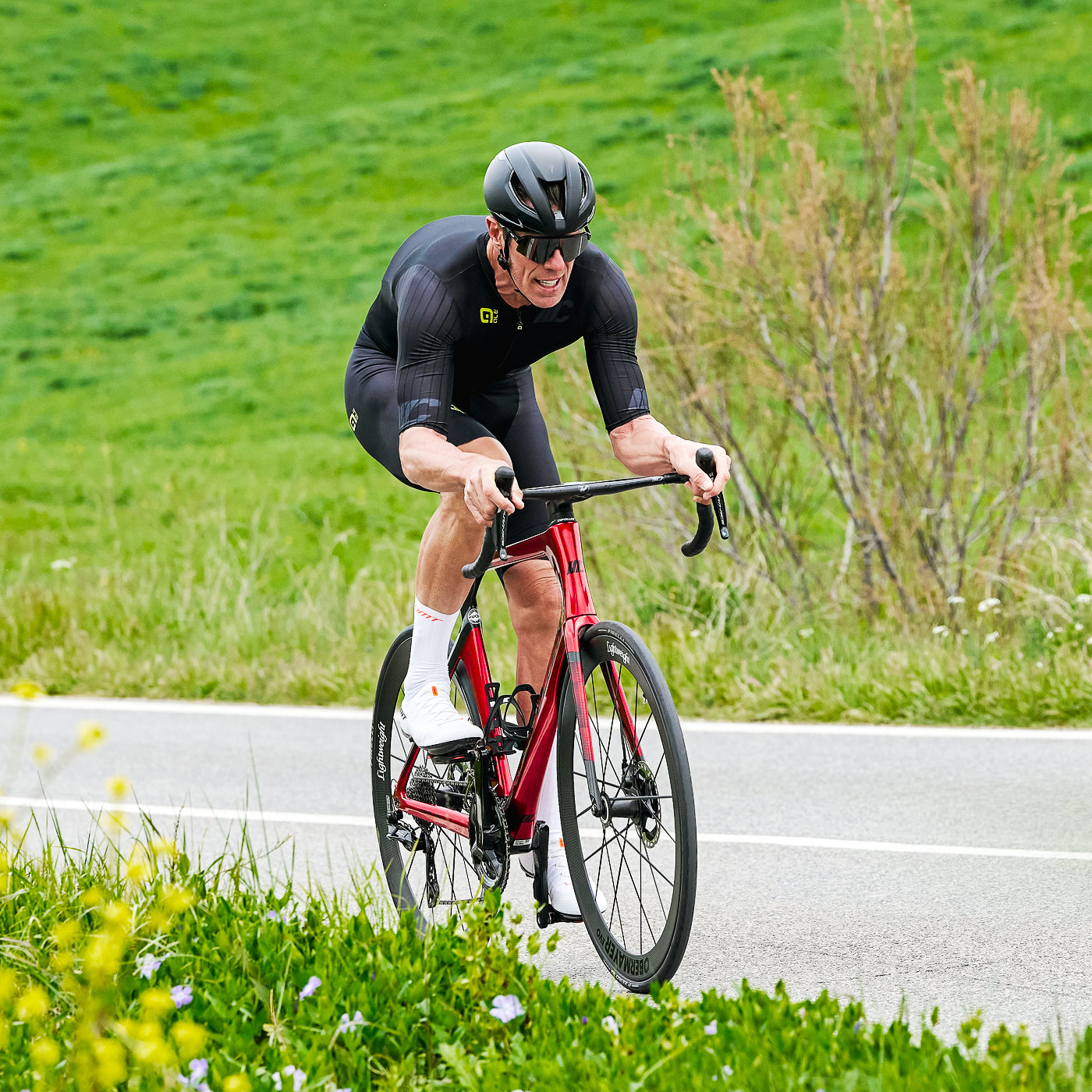 Cipollini